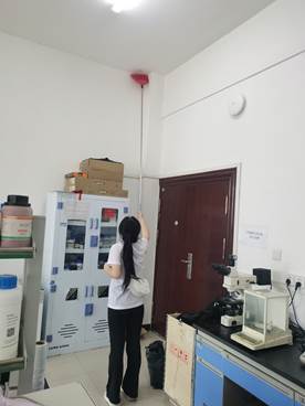 bevictor伟德官网