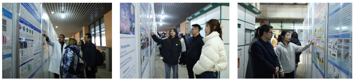 bevictor伟德官网