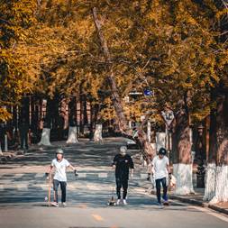 bevictor伟德官网